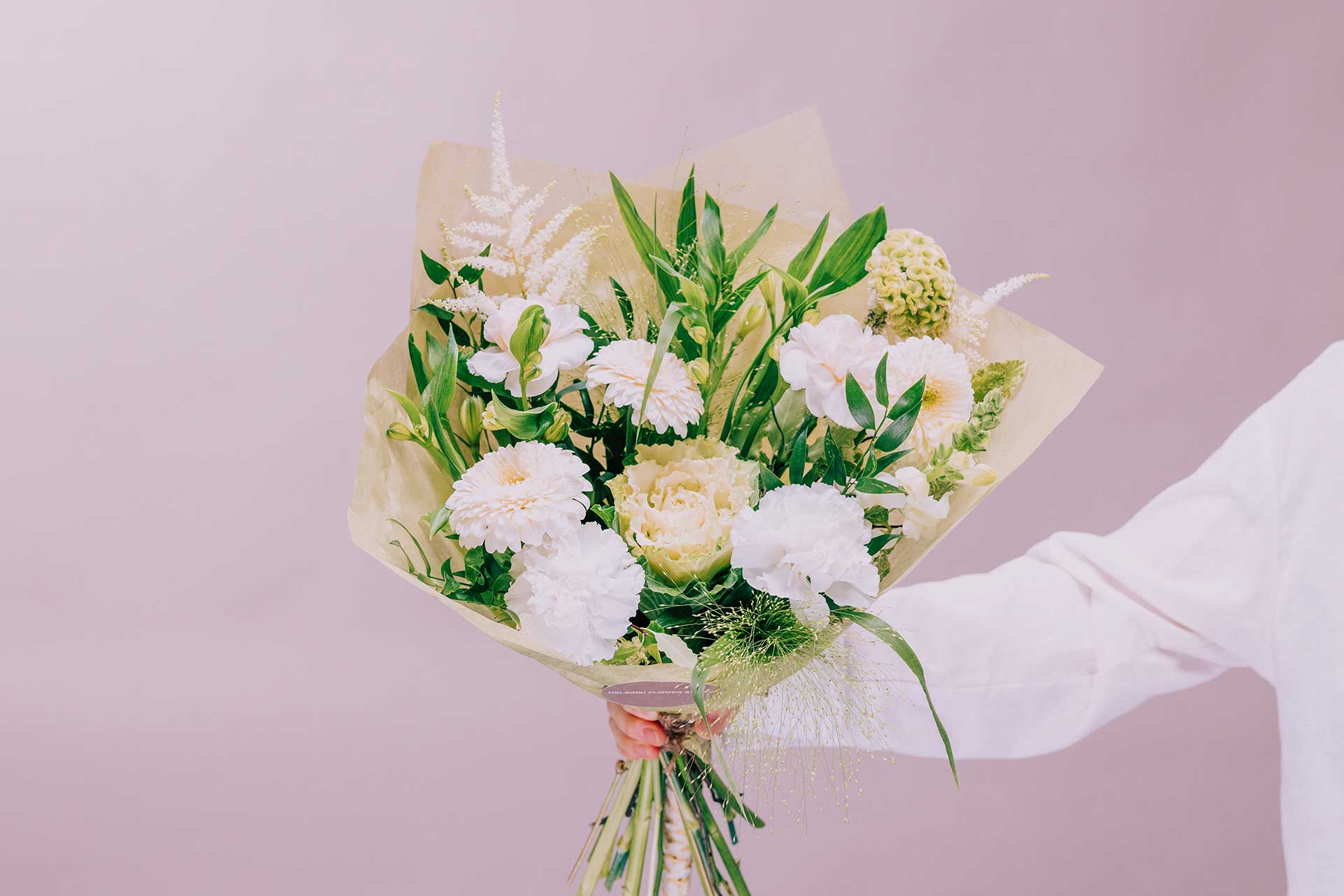 Timeless White - Image 2